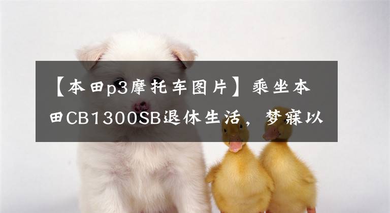 【本田p3摩托车图片】乘坐本田CB1300SB退休生活，梦寐以求。文章配图