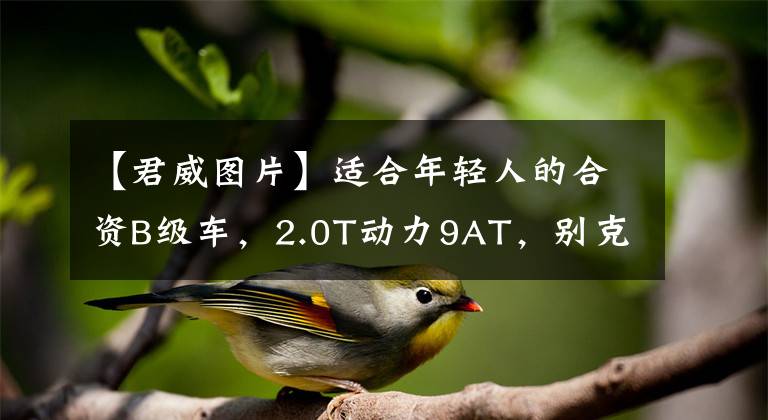 【君威图片】适合年轻人的合资B级车，2.0T动力9AT，别克君威到底怎么样？文章配图