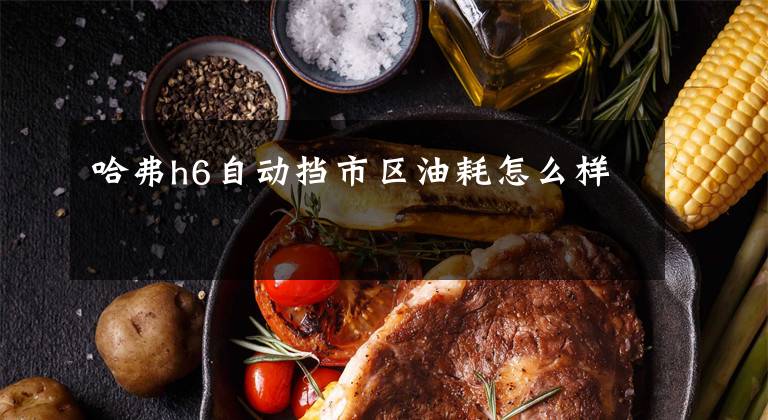 哈弗h6自动挡市区油耗怎么样文章配图