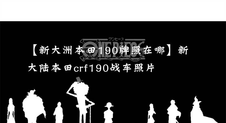 【新大洲本田190牌照在哪】新大陆本田crf190战车照片