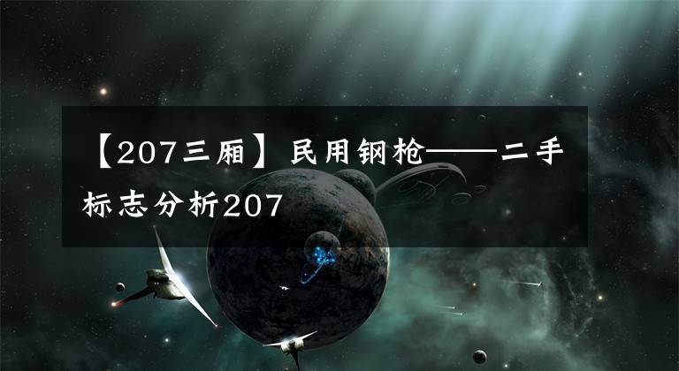 【207三厢】民用钢枪——二手标志分析207