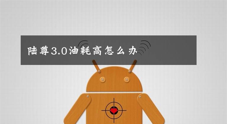陆尊3.0油耗高怎么办文章配图