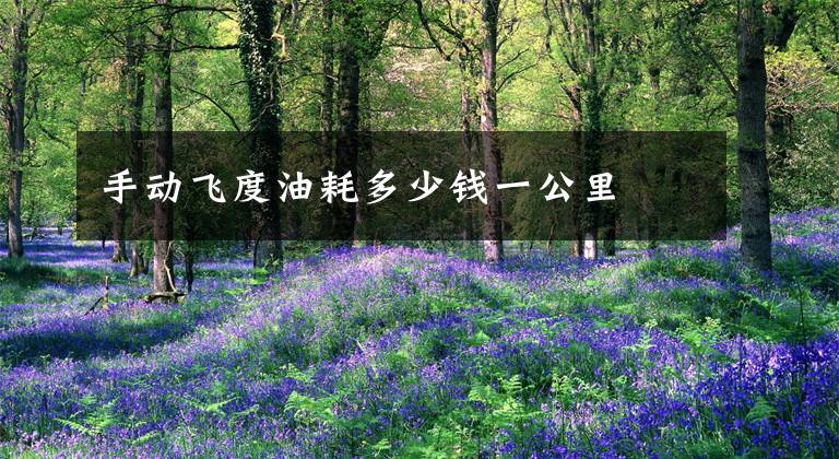 手动飞度油耗多少钱一公里文章配图