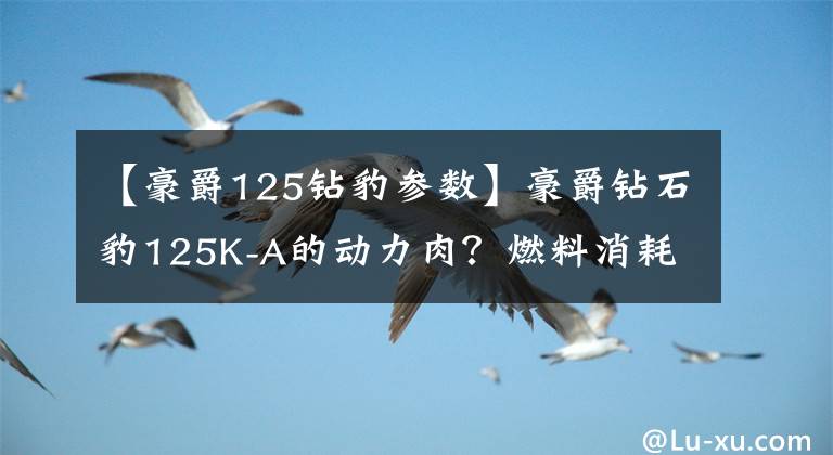 【豪爵125钻豹参数】豪爵钻石豹125K-A的动力肉？燃料消耗高吗？请看老司机的评论。文章配图