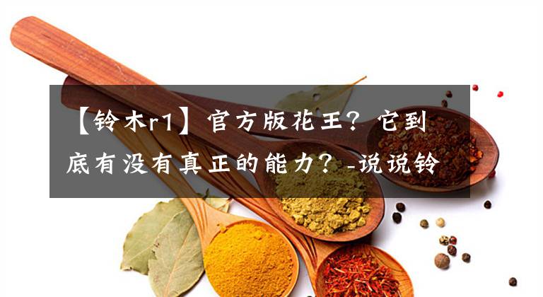 【铃木r1】官方版花王？它到底有没有真正的能力？-说说铃木GSX-R1000R文章配图