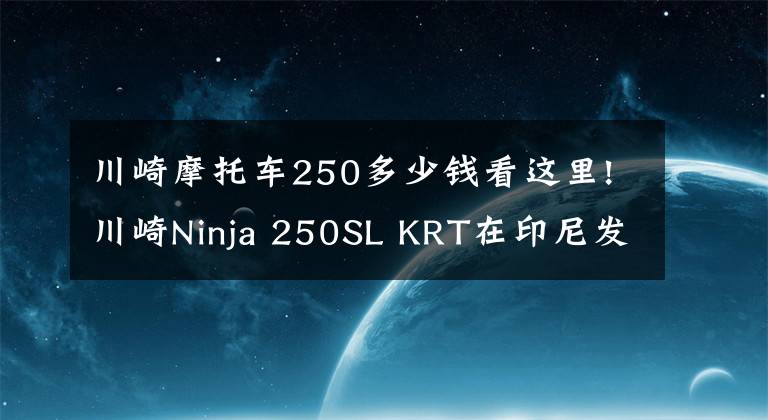 川崎摩托车250多少钱看这里!川崎Ninja 250SL KRT在印尼发布 售价约合1.96万人民币