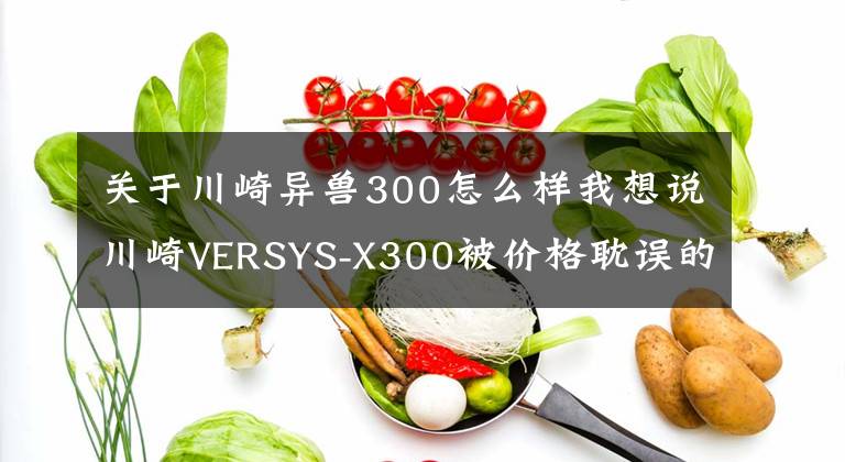 关于川崎异兽300怎么样我想说川崎VERSYS-X300被价格耽误的双缸运动摩旅，好骑灵活易操控文章配图