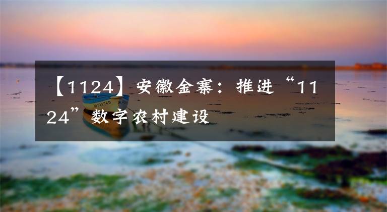 【1124】安徽金寨：推进“1124”数字农村建设