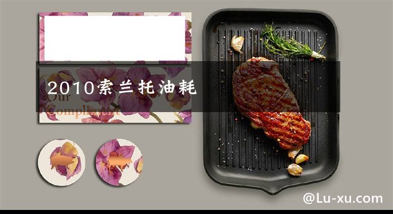 2010索兰托油耗文章配图