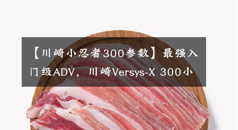 【川崎小忍者300参数】最强入门级ADV，川崎Versys-X 300小异兽试驾评测