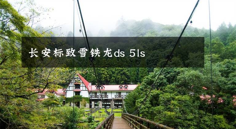 长安标致雪铁龙ds 5ls文章配图