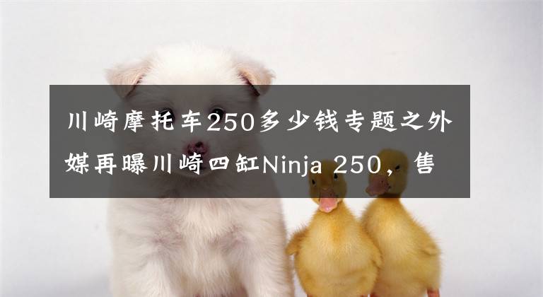 川崎摩托车250多少钱专题之外媒再曝川崎四缸Ninja 250，售价约在5-6万元之间？