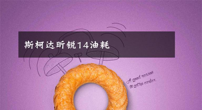 斯柯达昕锐14油耗文章配图