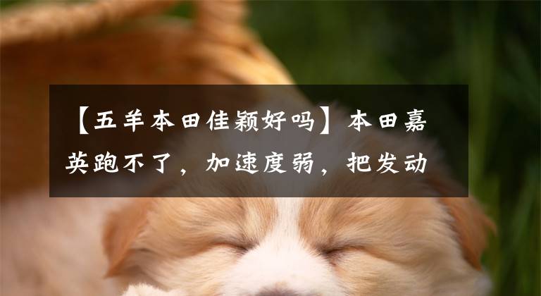 【五羊本田佳颖好吗】本田嘉英跑不了，加速度弱，把发动机拆了，看看到底是什么原因！文章配图