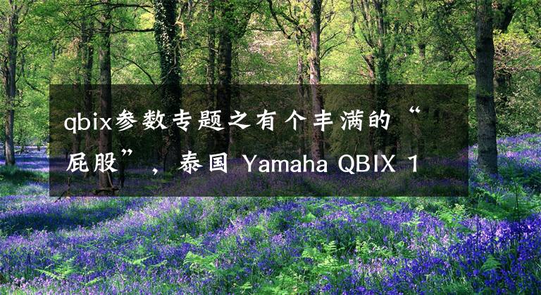 qbix参数专题之有个丰满的“屁股”，泰国 Yamaha QBIX 125 实拍