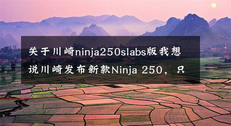 关于川崎ninja250slabs版我想说川崎发布新款Ninja 250，只不过这次是单缸的SL