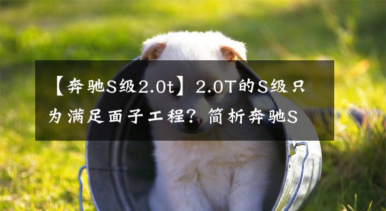 【奔驰S级2.0t】2.0T的S级只为满足面子工程？简析奔驰S 320 L文章配图