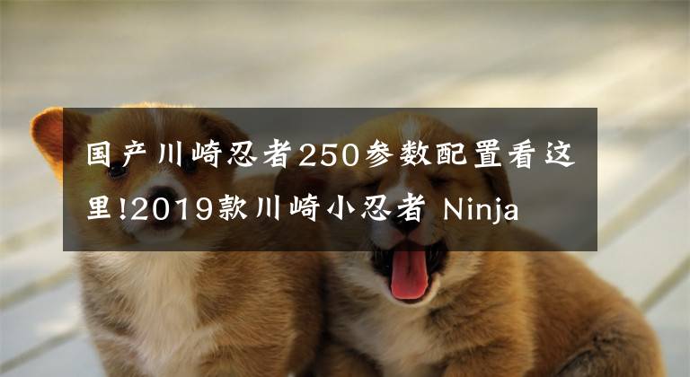 国产川崎忍者250参数配置看这里!2019款川崎小忍者 Ninja 250 试驾体会 海量高清图片鉴赏