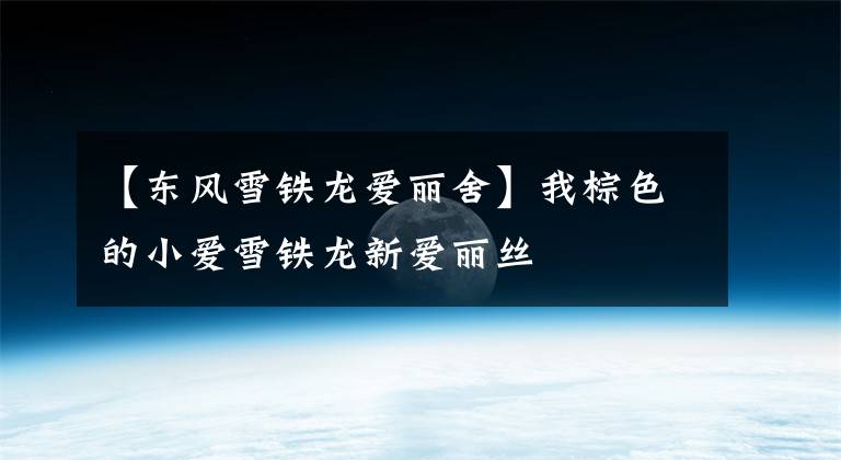 【东风雪铁龙爱丽舍】我棕色的小爱雪铁龙新爱丽丝文章配图