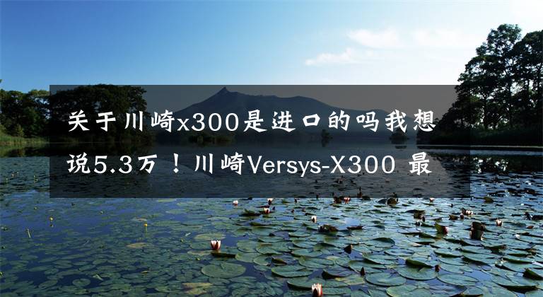 关于川崎x300是进口的吗我想说5.3万！川崎Versys-X300 最便宜的进口双缸拉力