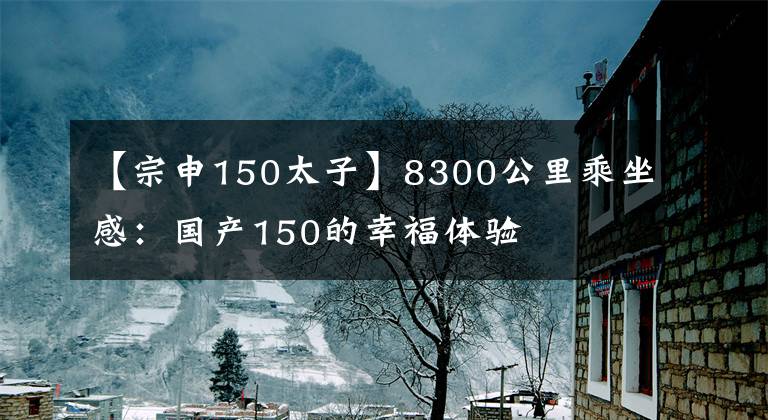 【宗申150太子】8300公里乘坐感：国产150的幸福体验文章配图