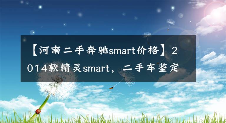 【河南二手奔驰smart价格】2014款精灵smart，二手车鉴定评估师估值多少？