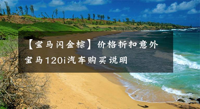 【宝马闪金棕】价格折扣意外宝马120i汽车购买说明文章配图