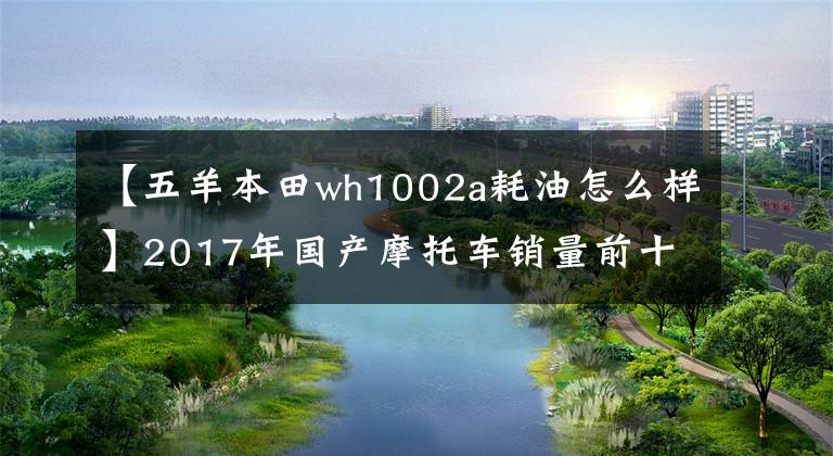 【五羊本田wh1002a耗油怎么样】2017年国产摩托车销量前十名