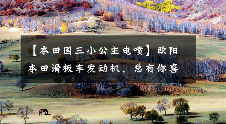 【本田国三小公主电喷】欧阳本田滑板车发动机，总有你喜欢的对应车型。文章配图