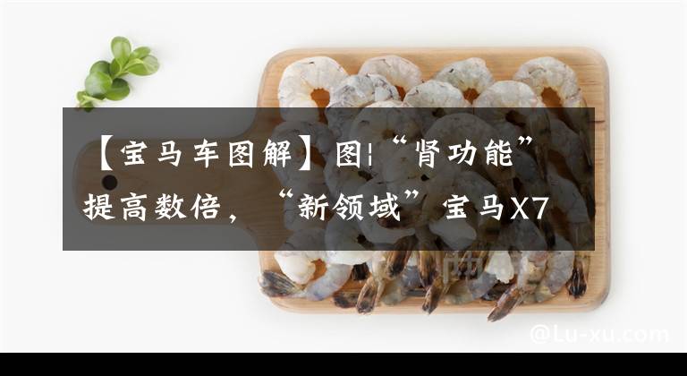 【宝马车图解】图|“肾功能”提高数倍，“新领域”宝马X7概念图发布文章配图
