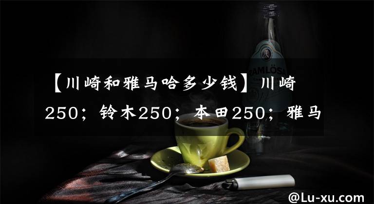 【川崎和雅马哈多少钱】川崎250；铃木250；本田250；雅马哈250这四款摩托车哪个更好？文章配图