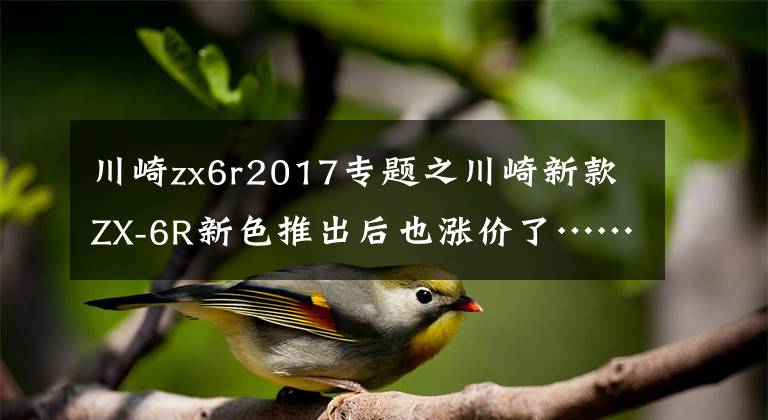 川崎zx6r2017专题之川崎新款ZX-6R新色推出后也涨价了……