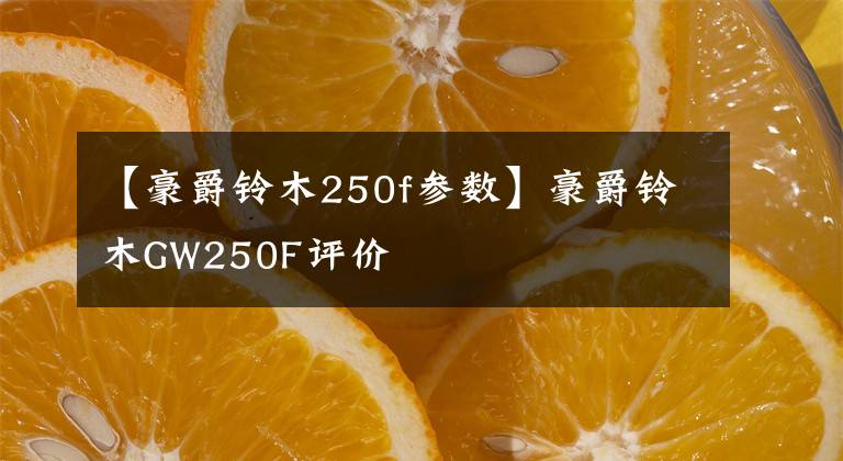 【豪爵铃木250f参数】豪爵铃木GW250F评价文章配图
