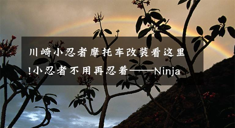 川崎小忍者摩托车改装看这里!小忍者不用再忍着——Ninja250改装示范