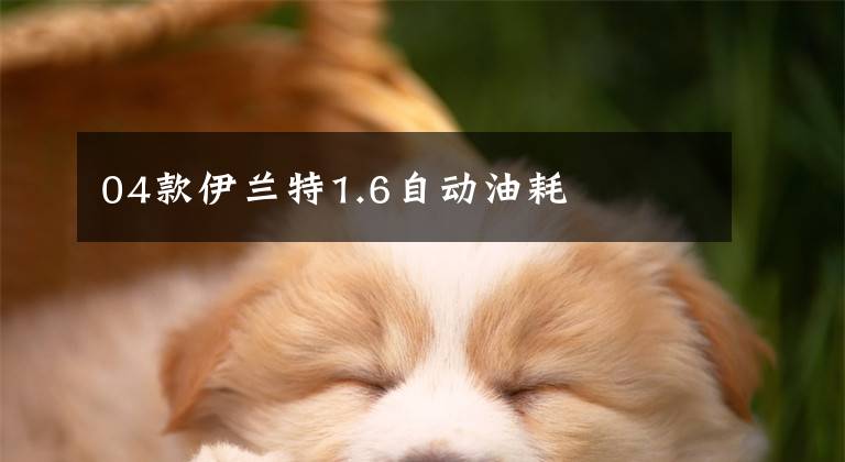 04款伊兰特1.6自动油耗文章配图
