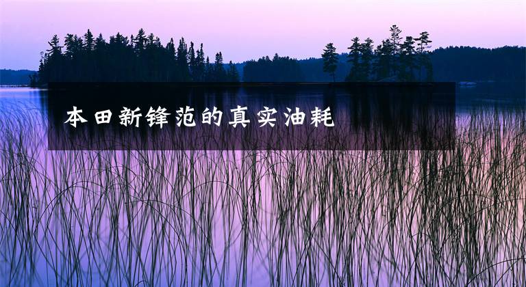 本田新锋范的真实油耗文章配图