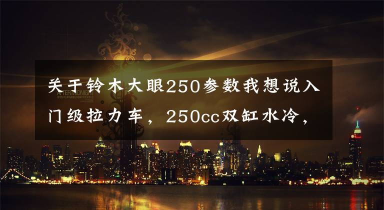 关于铃木大眼250参数我想说入门级拉力车，250cc双缸水冷，日清卡钳，双通道ABS，适合摩旅