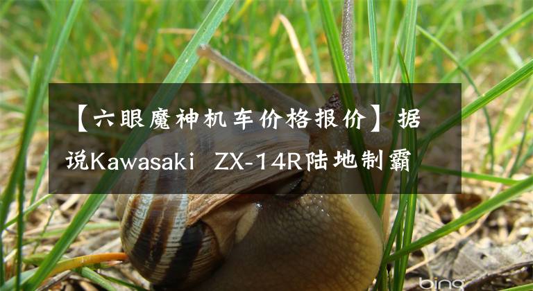 【六眼魔神机车价格报价】据说Kawasaki  ZX-14R陆地制霸是6眼魔神，只有20万美元！文章配图