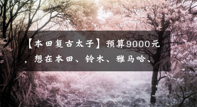 【本田复古太子】预算9000元，想在本田、铃木、雅马哈、豪作中选择太子车，有什么推荐吗？文章配图