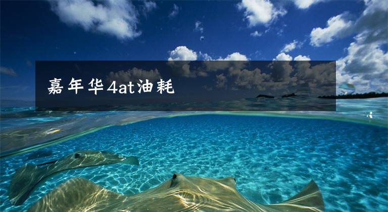 嘉年华4at油耗文章配图