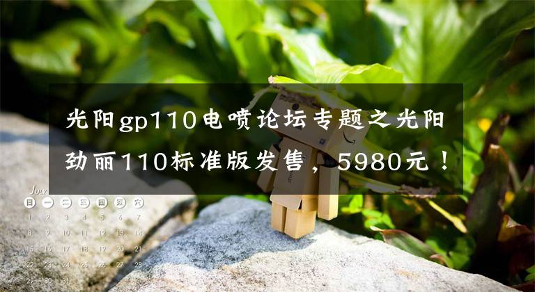 光阳gp110电喷论坛专题之光阳劲丽110标准版发售，5980元！