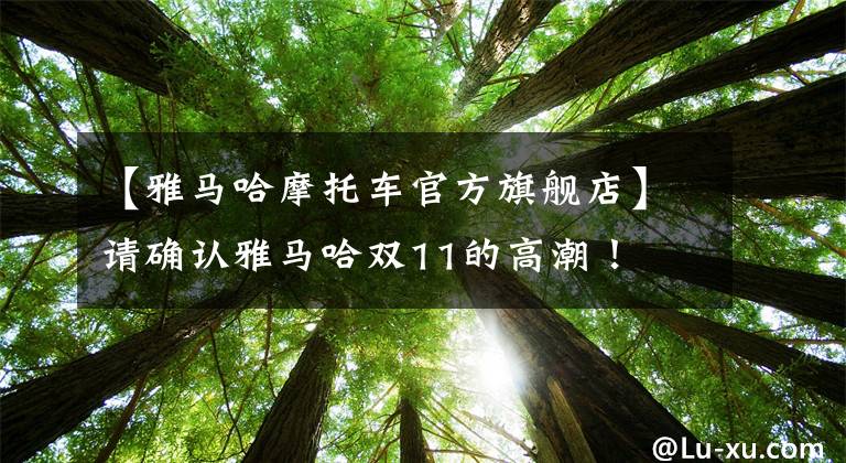 【雅马哈摩托车官方旗舰店】请确认雅马哈双11的高潮！文章配图