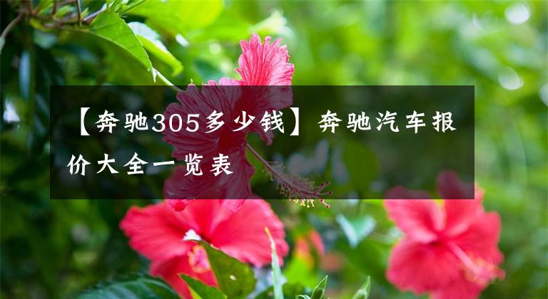 【奔驰305多少钱】奔驰汽车报价大全一览表文章配图