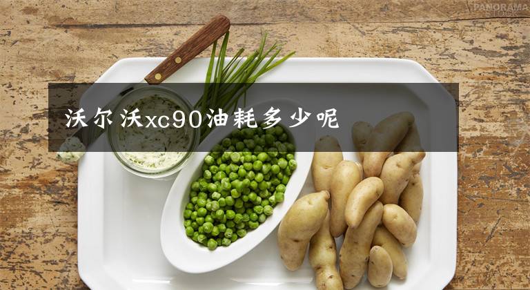 沃尔沃xc90油耗多少呢文章配图
