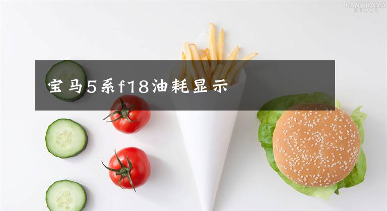 宝马5系f18油耗显示文章配图