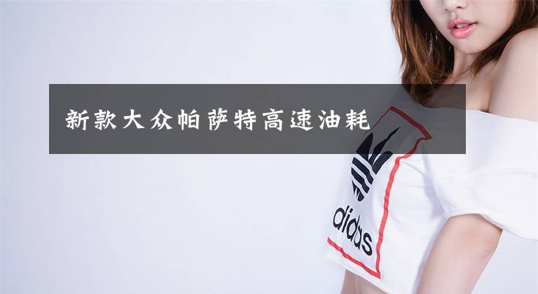 新款大众帕萨特高速油耗文章配图
