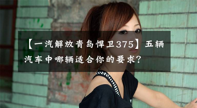 【一汽解放青岛悍卫375】五辆汽车中哪辆适合你的要求？文章配图