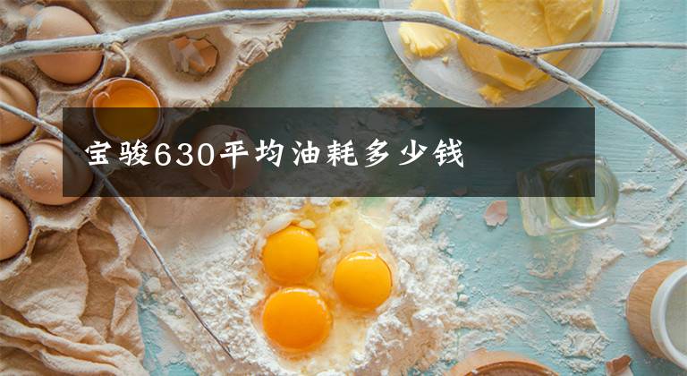 宝骏630平均油耗多少钱文章配图