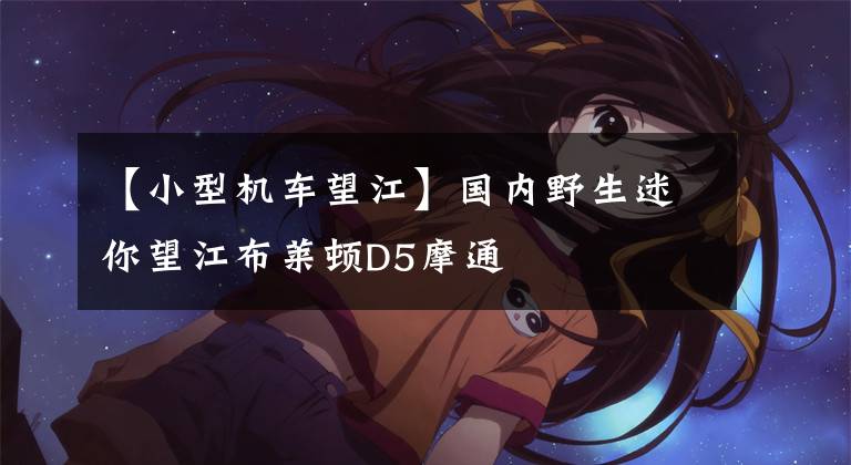 【小型机车望江】国内野生迷你望江布莱顿D5摩通文章配图