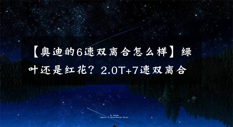 【奥迪的6速双离合怎么样】绿叶还是红花？2.0T+7速双离合，A6L：全靠同行衬托